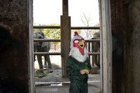 象にエサをあげる板垣巴留。