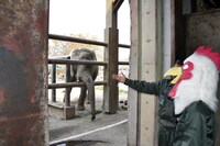 象についての解説を受ける板垣巴留。