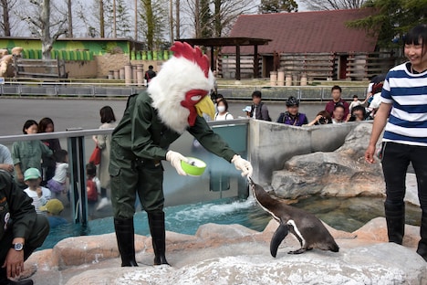 ペンギンにエサをあげる板垣巴留。