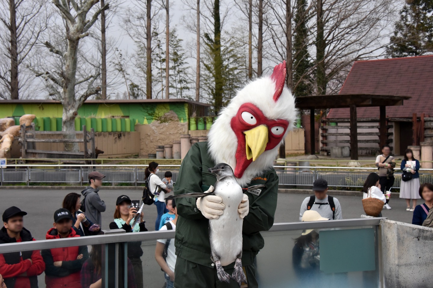 ペンギンを持ち上げる板垣巴留。
