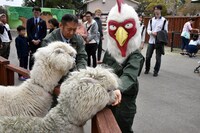 アルパカにエサをあげる板垣巴留。