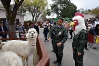 アルパカを見つめる板垣巴留。