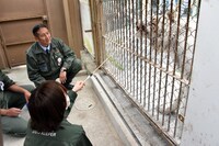 ホワイトタイガーにエサをあげる板垣巴留。