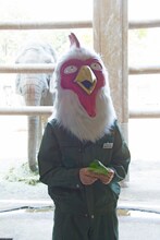 板垣巴留（撮影：石川真魚）