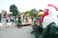 パレードを眺める板垣巴留。（撮影：石川真魚）