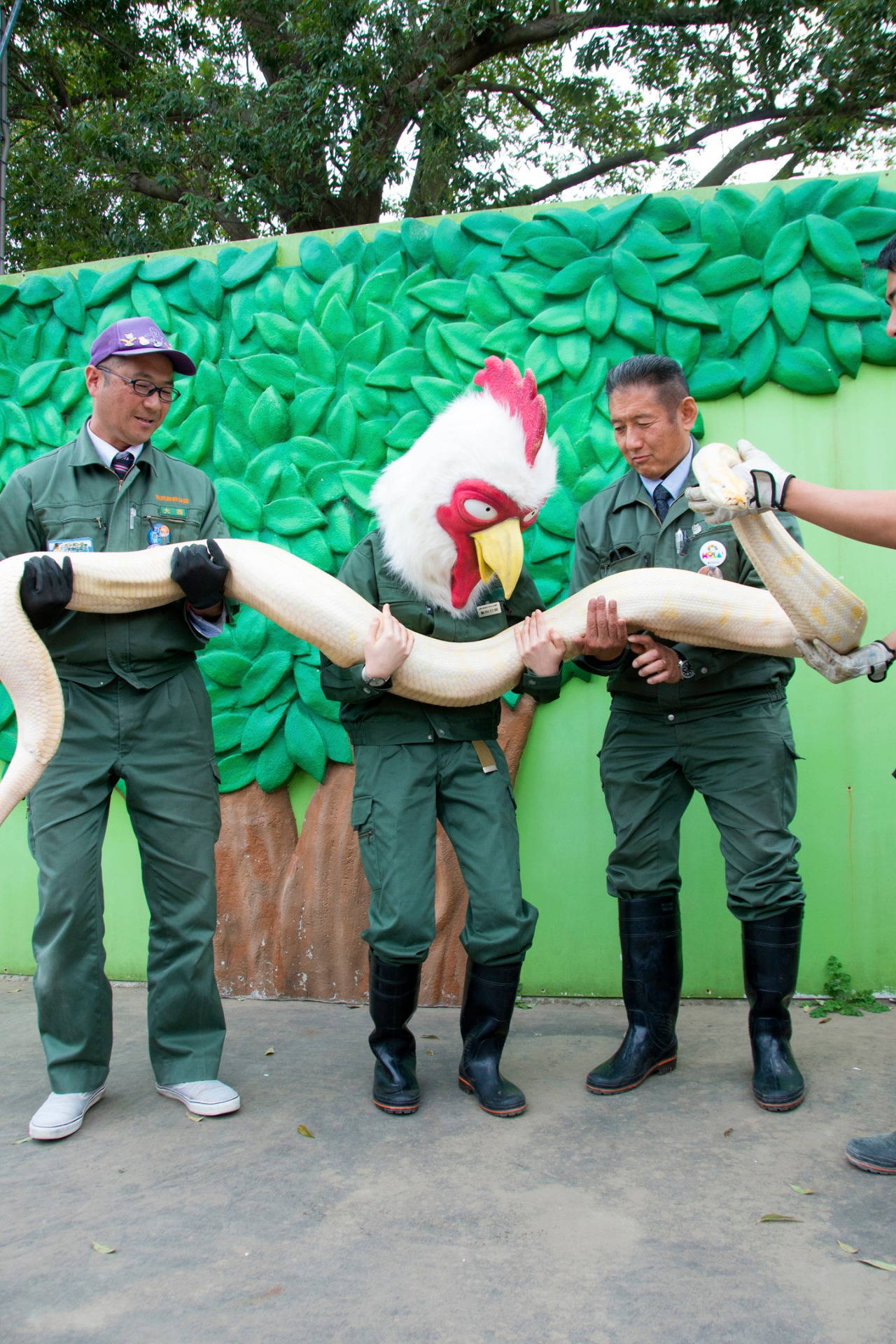 白ヘビを持ち上げる板垣巴留と、東武動物公園スタッフ。（撮影：石川真魚）