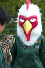 フクロウを見つめる板垣巴留。（撮影：石川真魚）