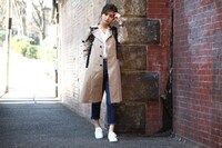 エルヴィンモデルの使用例。