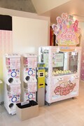 店内に設置されたカプセルトイとクレーンゲーム。