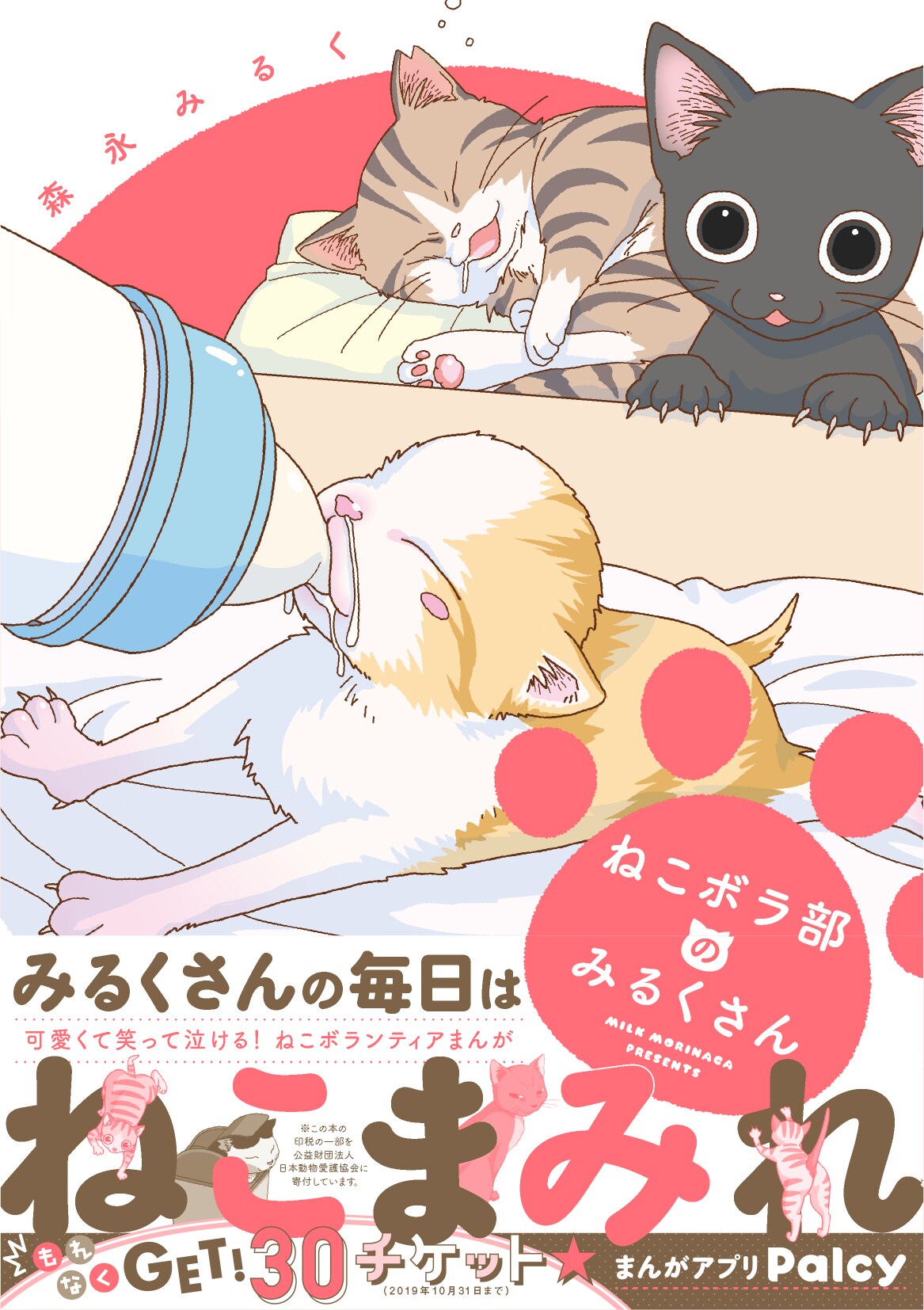 森永みるくが自身の保護猫活動の現実を描くエッセイ「ねこボラ部のみるくさん」