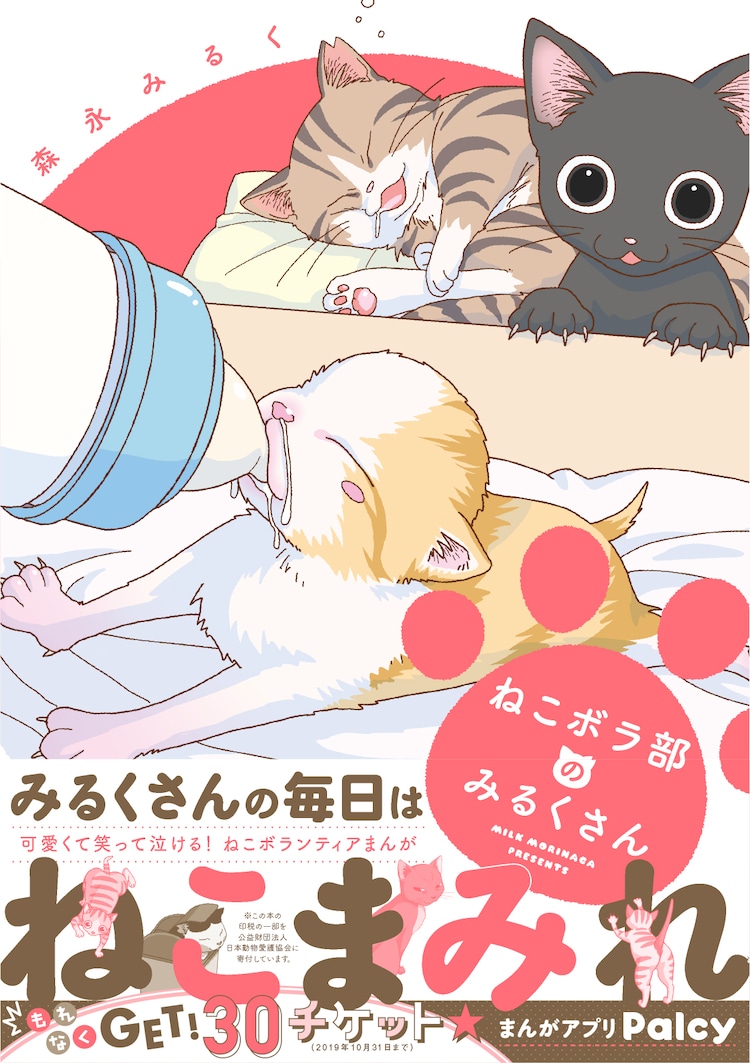 森永みるくが自身の保護猫活動の現実を描くエッセイ ねこボラ部のみるくさん 試し読みあり コミックナタリー