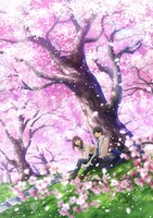 Blu-rayの三方背ボックスイラスト。