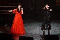 左から岩男潤子、平野綾。