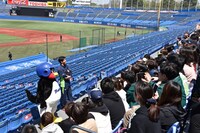 つば九郎への相談・質問コーナーの様子。