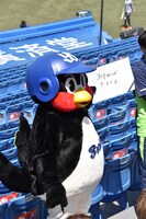 つば九郎への相談・質問コーナーの様子。