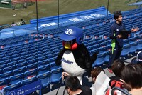 トークを終えて「お手羽渡し会」の準備に向かうつば九郎。