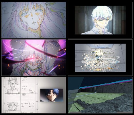 ufotable特典の「『Fate/stay night [Heaven's Feel]』II.lost butterflyAnimation Material」
