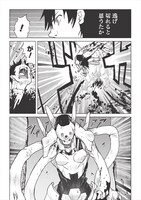 「槍使いと、黒猫。」より。