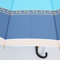 一期一振モデルの傘。