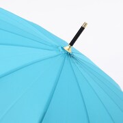 一期一振モデルの傘。