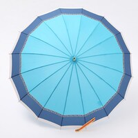 一期一振モデルの傘。