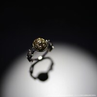 「JOJO黄金の風リング」