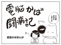 「電脳かば闘病記」より。