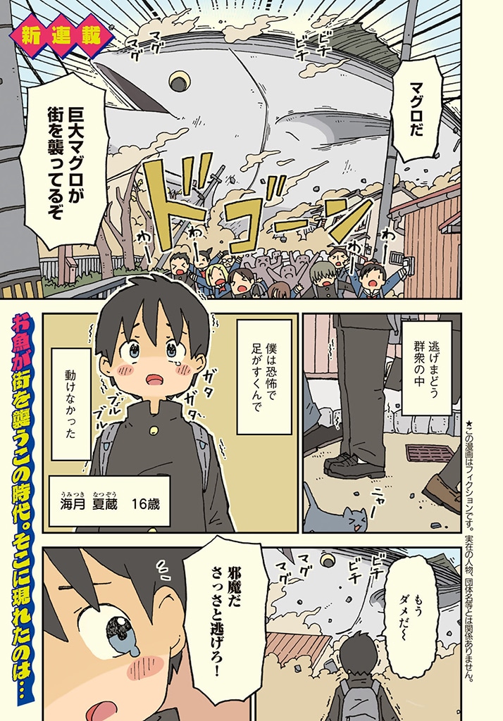「サメガール」より。