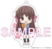 アニメイト各巻特典の描き下ろしミニキャラアクリルキーホルダー。