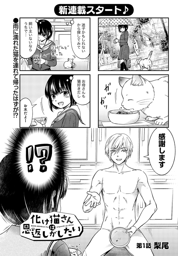「化け猫さんは恩返しがしたい」第1話より。