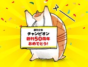 アルマジロのジョンからのメッセージ。