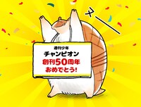 アルマジロのジョンからのメッセージ。