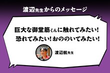 渡辺航コメント