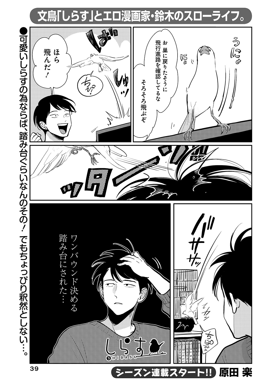 原田楽のシーズン連載「しらす」より。