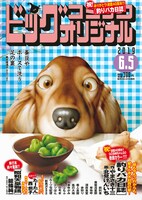 ビッグコミックオリジナル11号