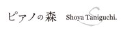アニメ「ピアノの森」とShoya Taniguchi.のロゴ。