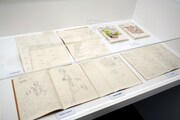 「メタモルフォーゼの縁側」の展示。