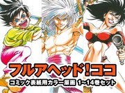 「フルアヘッド！ココ」コミックス表紙用カラー原画1～14巻セット