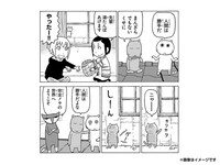 愛猫が「木曜日のフルット」に登場できる権利。