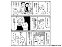 愛猫が「木曜日のフルット」に登場できる権利。