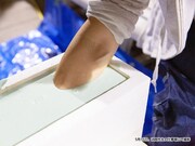 石膏の型を取る浜岡賢次。