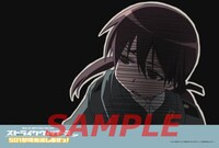 グランヴァニアでもらえるポストカード。