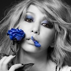 「イノサンmusicale」中島美嘉と古屋敬多W主演、梶裕貴はミュージカル初挑戦