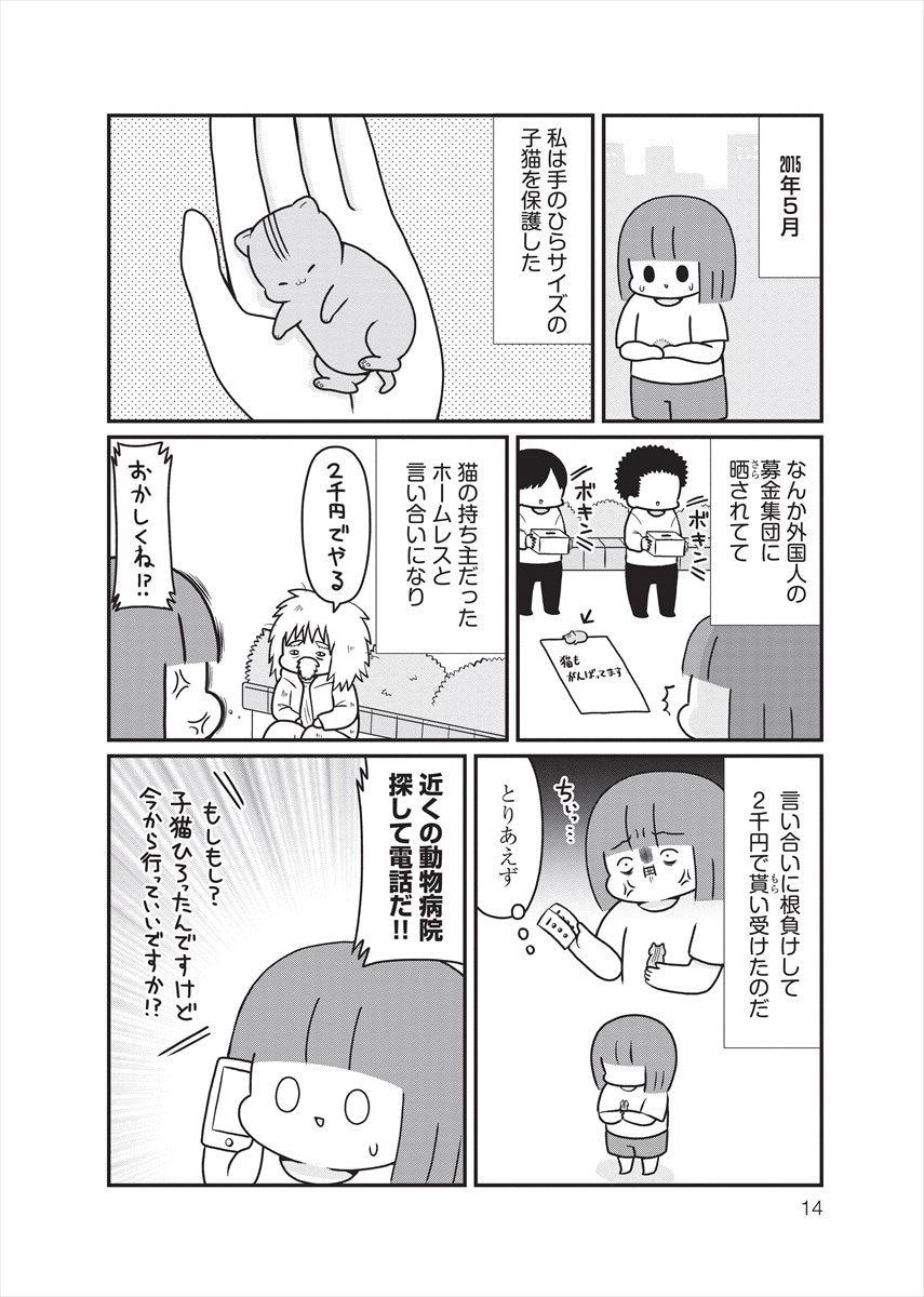 「ねこといっしょ ニャつらの傾向と対策」より、お肉おいしいのマンガ。
