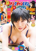 ヤングチャンピオン13号