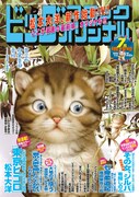 ビッグコミックオリジナル7月増刊号