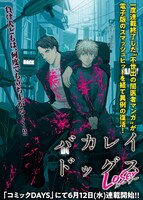 「バカレイドッグス Loser」告知画像