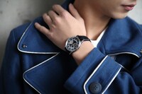 ロイ・マスタングモデルの使用イメージ。