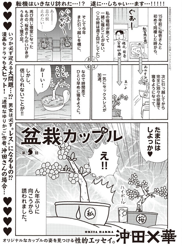 沖田×華「盆栽カップル」より。