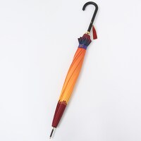 愛染国俊モデル